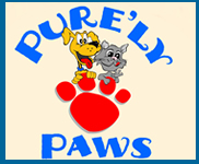Purly Paws